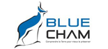 blue cham logo