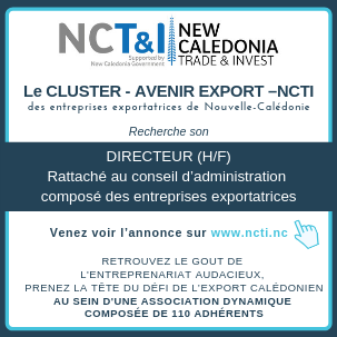Le CLUSTER AVENIR EXPORT NCTI 3