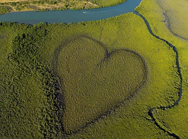 coeur de voh